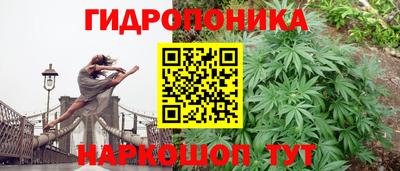 кокаин колумбия Пугачёв